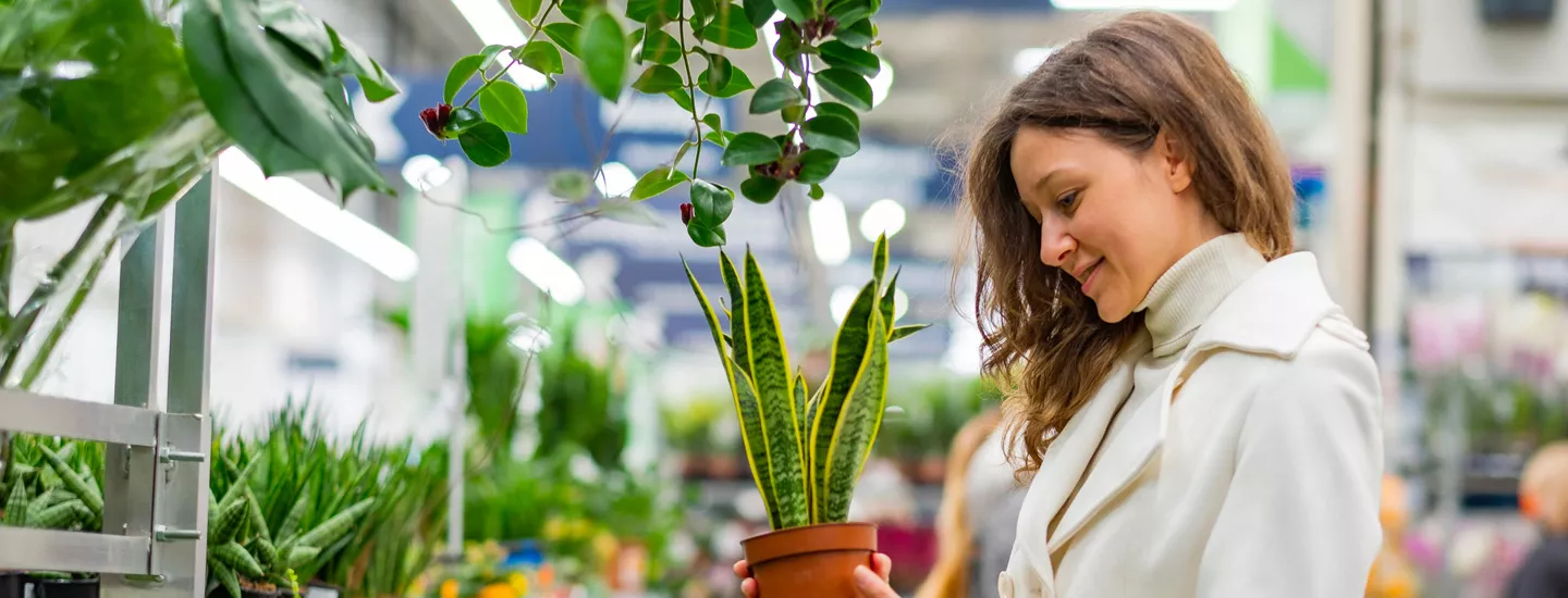 case study listing image - Driving organic search for the UK's largest garden & home centre