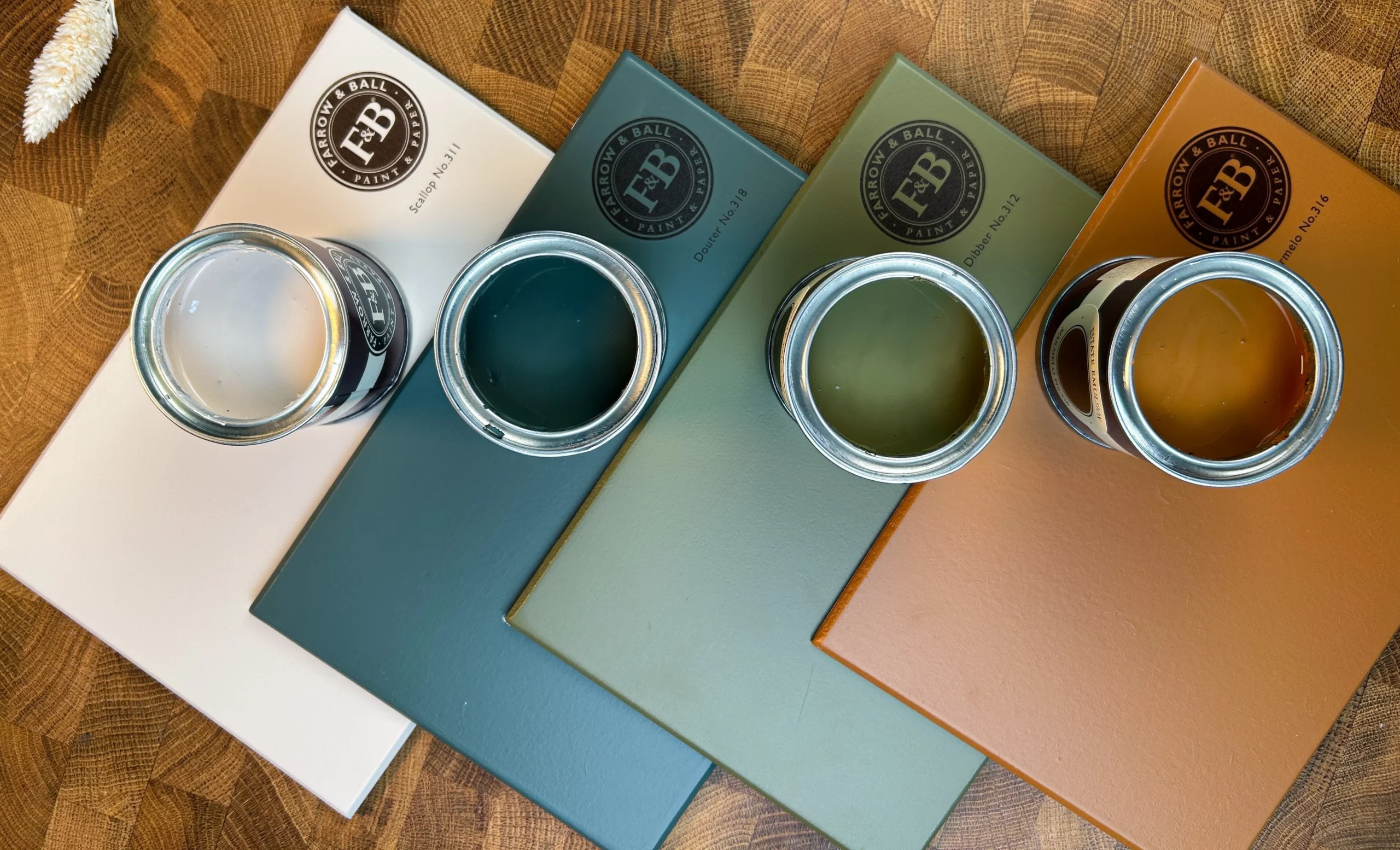 Farrow & Ball Samples